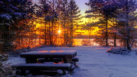 Snow-covered picnic table in a winter park at sunset, showcasing vibrant orange and purple hues, captured in HD for a scenic Earth-themed desktop wallpaper.