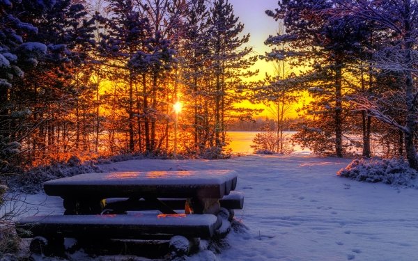 Photography Winter Earth Sunset Snow Park Picnic Table HD Wallpaper | Background Image