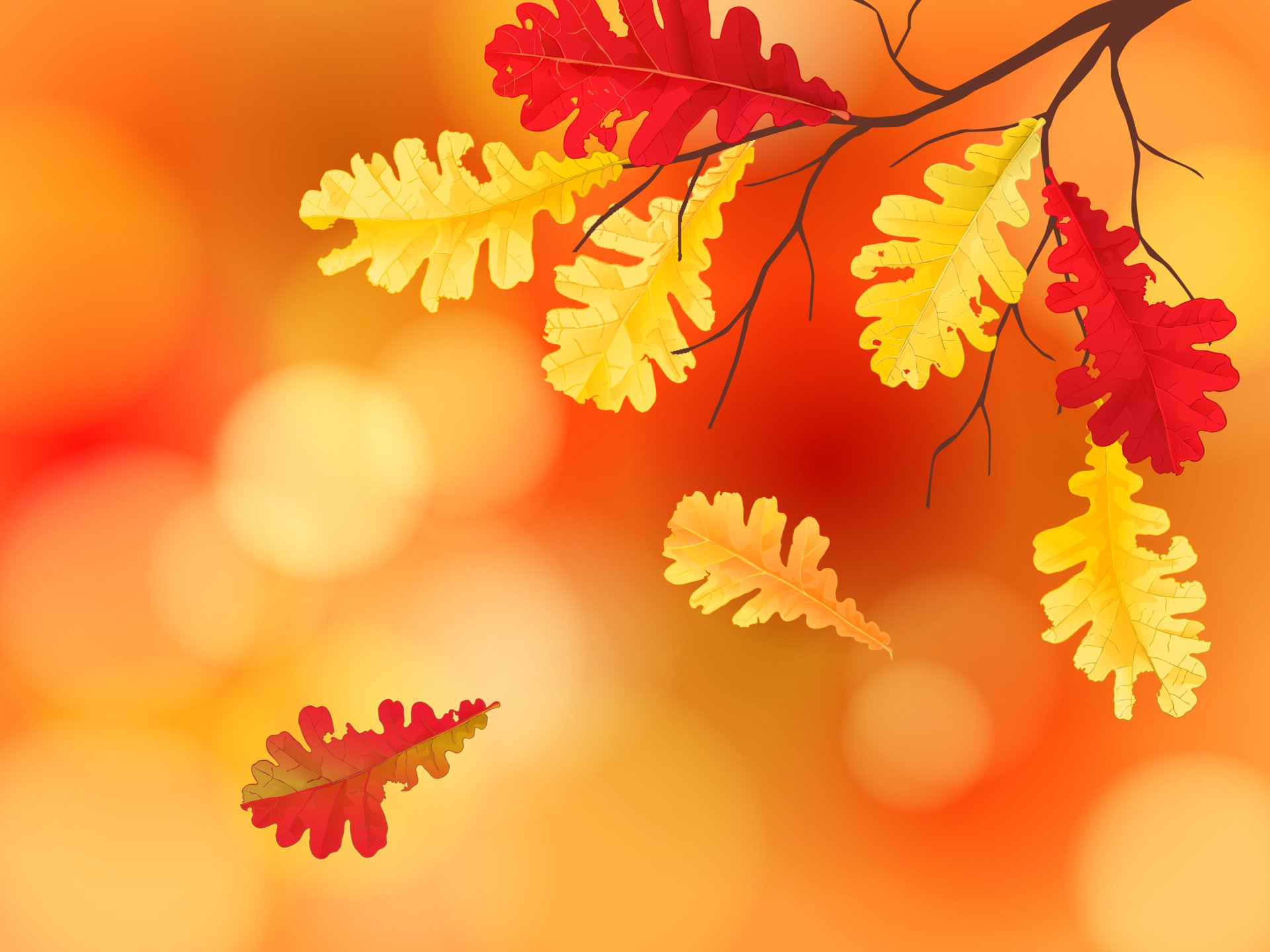 Download Fall Colors Artistic Leaf 4k Ultra HD Wallpaper