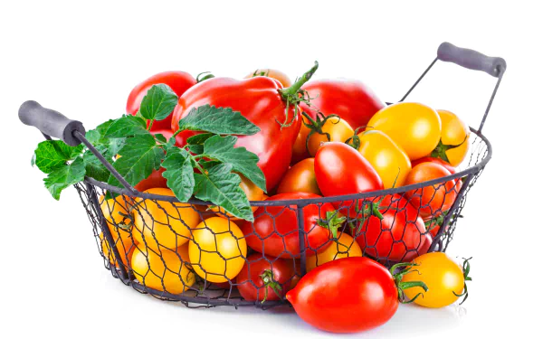 food tomato HD Desktop Wallpaper | Background Image