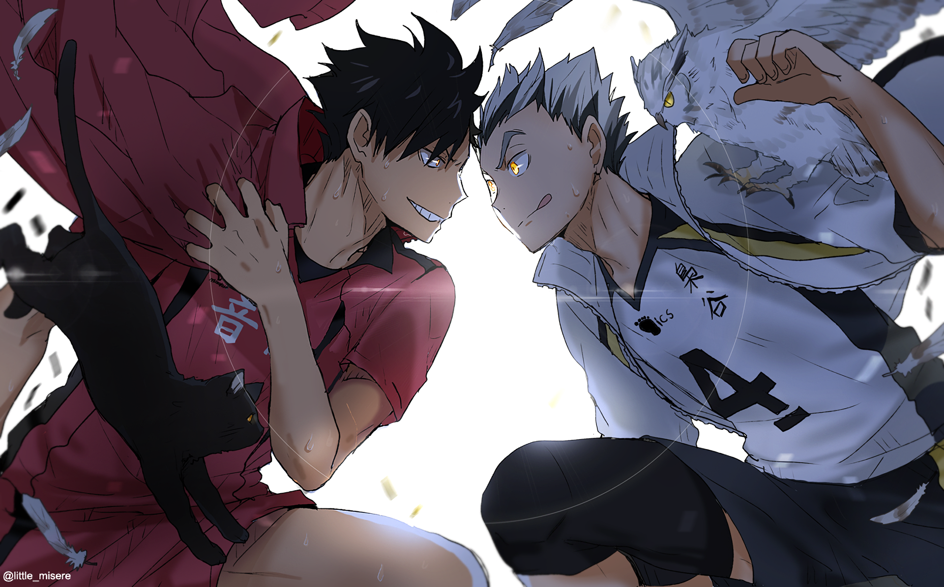 Haikyuu HD wallpapers