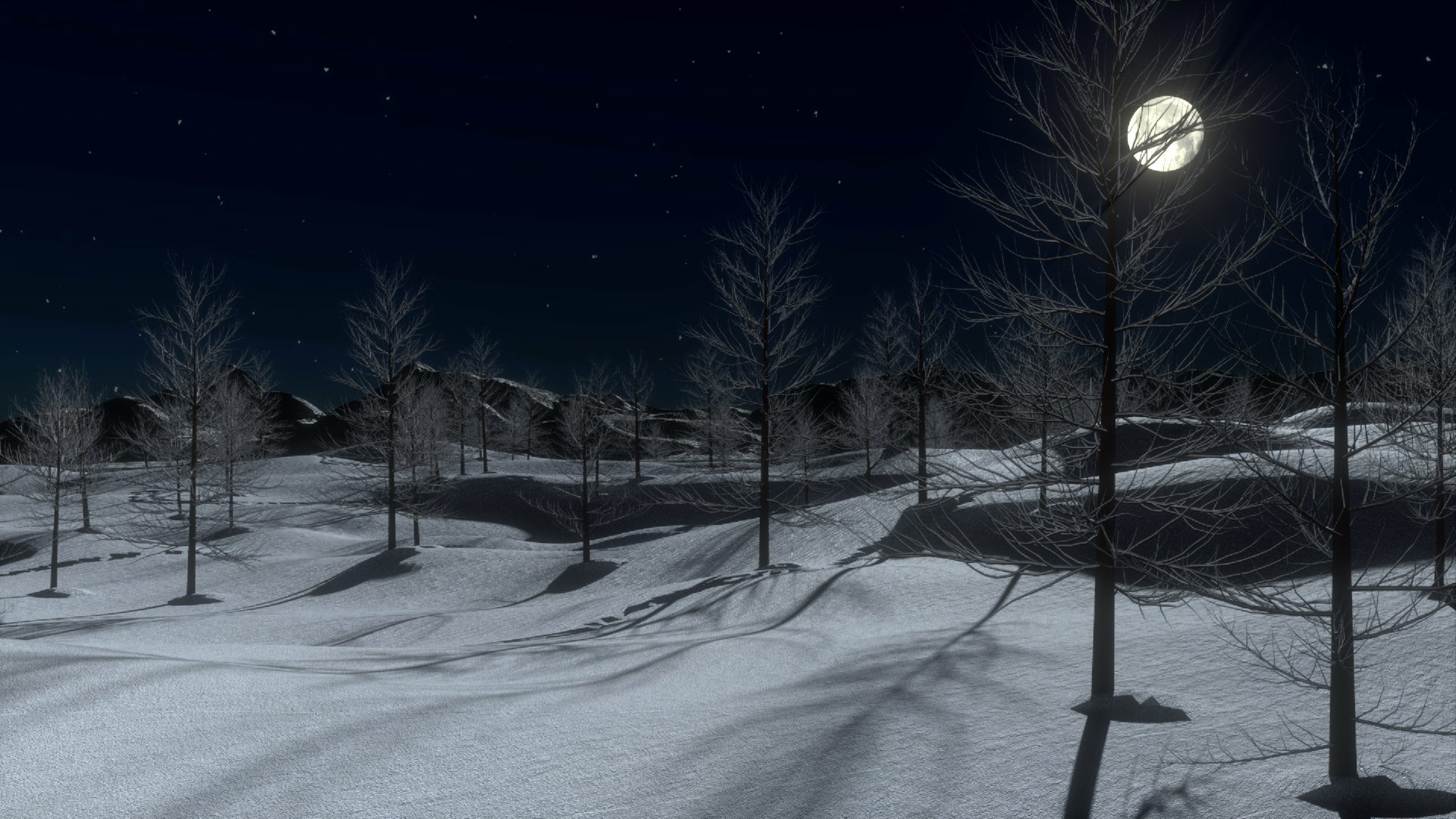Черные ночи холодные ночи. Зимняя ночь. Морозная зимняя ночь. Снег ночью. Ночной зимний лес.