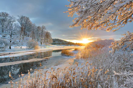 A serene winter landscape featuring a sunset over a snow-covered river, with trees reflecting golden sunshine enhancing the tranquil beauty of nature.