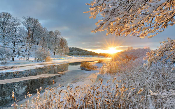 A serene winter landscape featuring a sunset over a snow-covered river, with trees reflecting golden sunshine enhancing the tranquil beauty of nature.