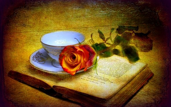 Artistic Vintage Painting Still Life Rose Cup Book HD Wallpaper | Background Image