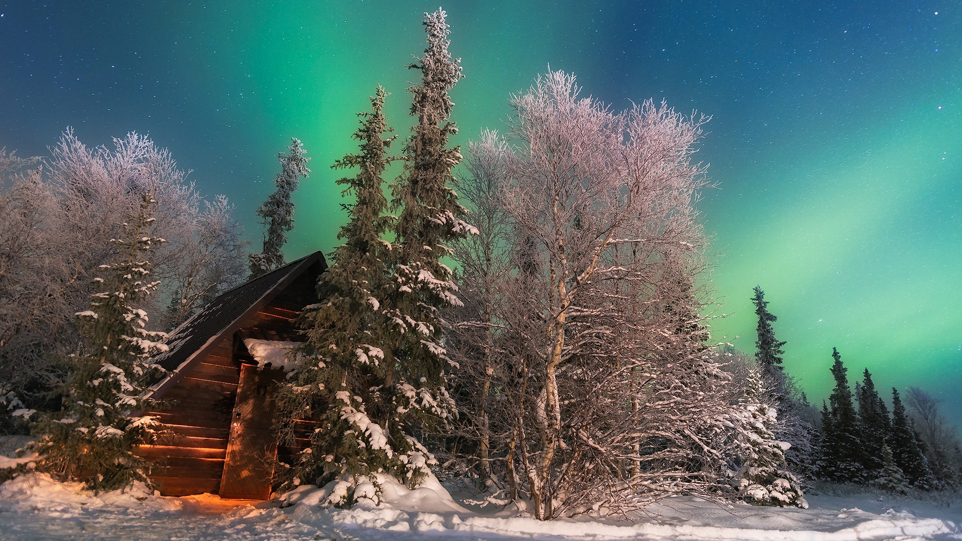 Aurora Borealis over Abandoned Cabin in Forest HD Wallpaper