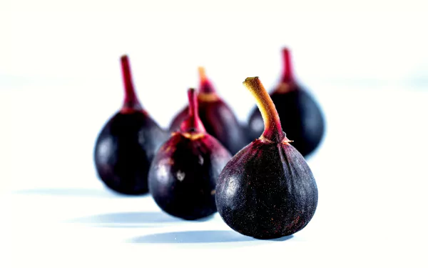 Close-up of five ripe figs with dark purple skin on white surface — vibrant fruit/food image, 5K Ultra HD PC desktop wallpaper and background.