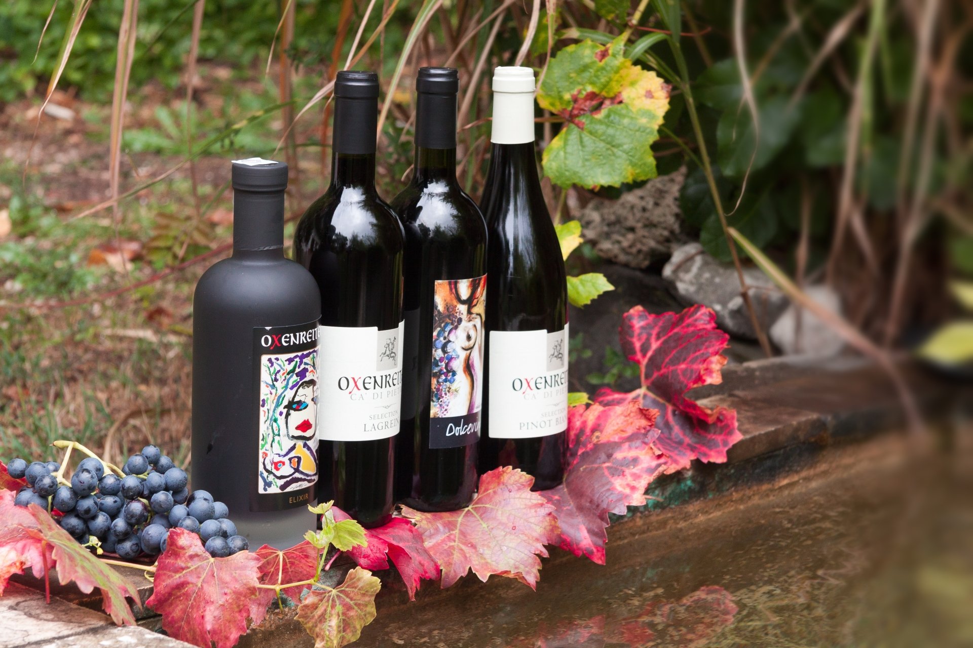 A 4K Ultra HD wallpaper featuring bottles of wine surrounded by grape clusters and colorful grapevine leaves outdoors.