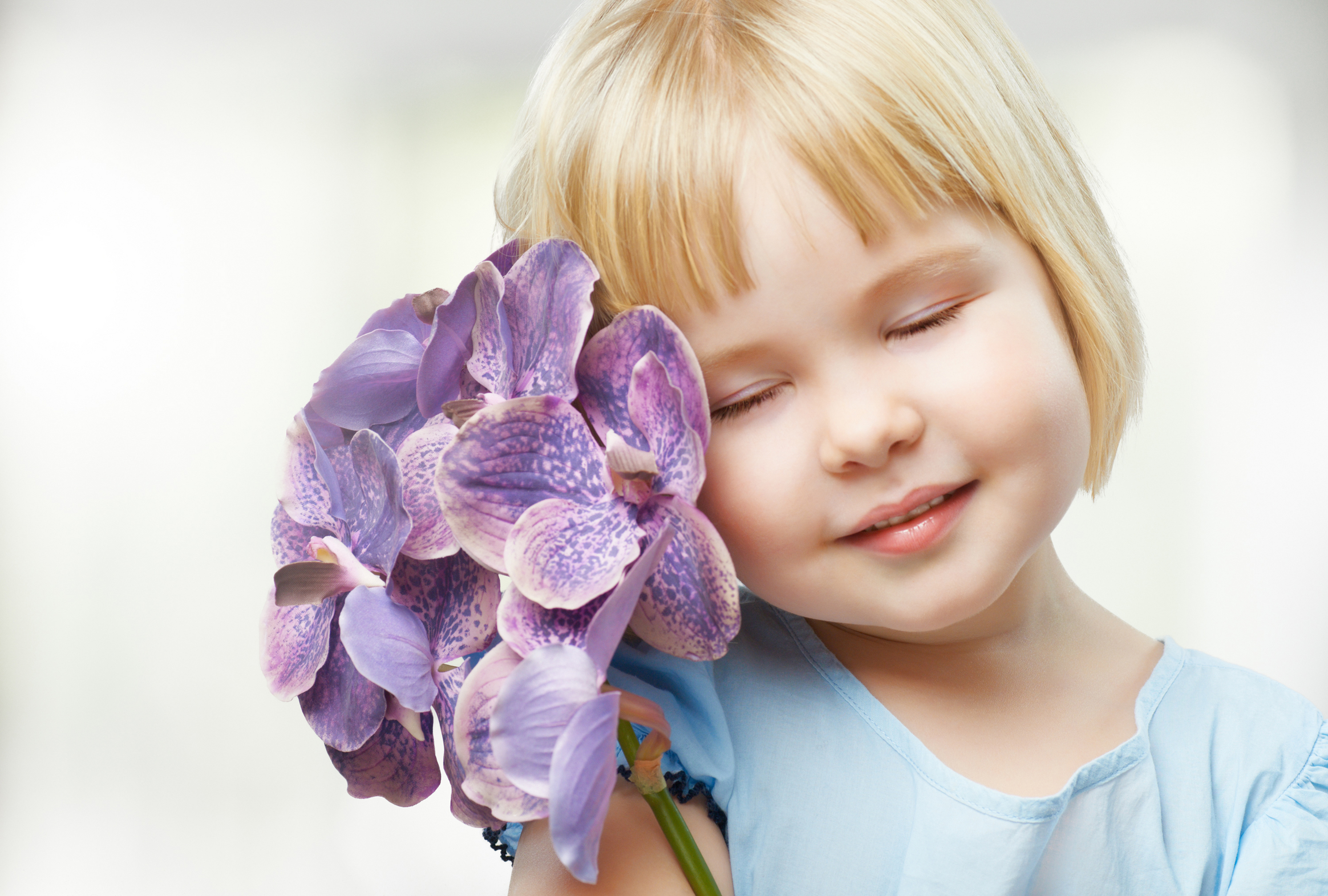 Download Blonde Purple Flower Flower Little Girl Photography Child HD