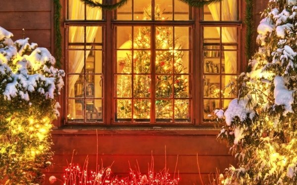 Holiday Christmas Christmas Tree Window Light Snow HD Wallpaper | Background Image