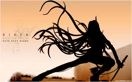 Rider (Fate/stay night) Anime Fate/Stay Night HD Desktop Wallpaper | Background Image