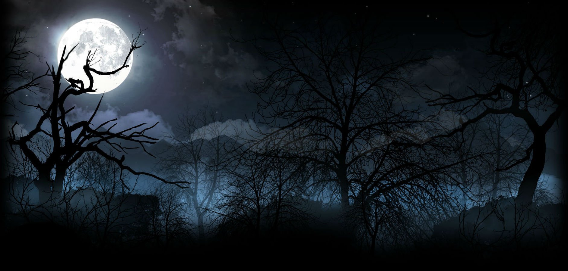 Dark Night HD Wallpaper | Background Image