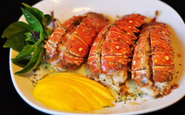 seafood meal food lobster HD Desktop Wallpaper | Background Image