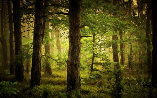 Artistic Painting Forest Tree Green HD Wallpaper | Background Image