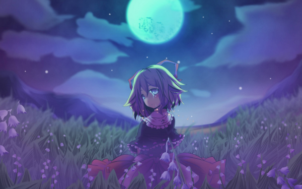 Anime Touhou Medicine Melancholy Night HD Wallpaper | Background Image