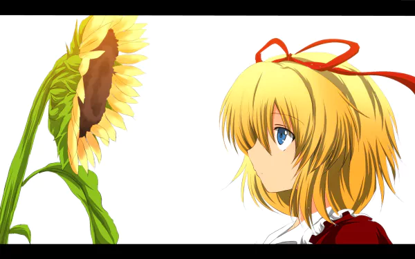 Medicine Melancholy Anime Touhou HD Desktop Wallpaper | Background Image