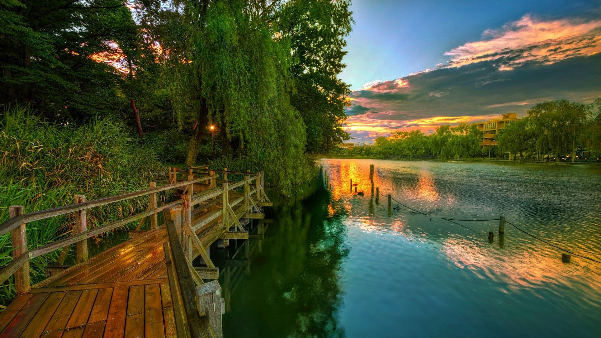 A serene boardwalk surrounded by lush green trees stretches along a calm lake under a colorful sunset sky, captured in vibrant HD photography.