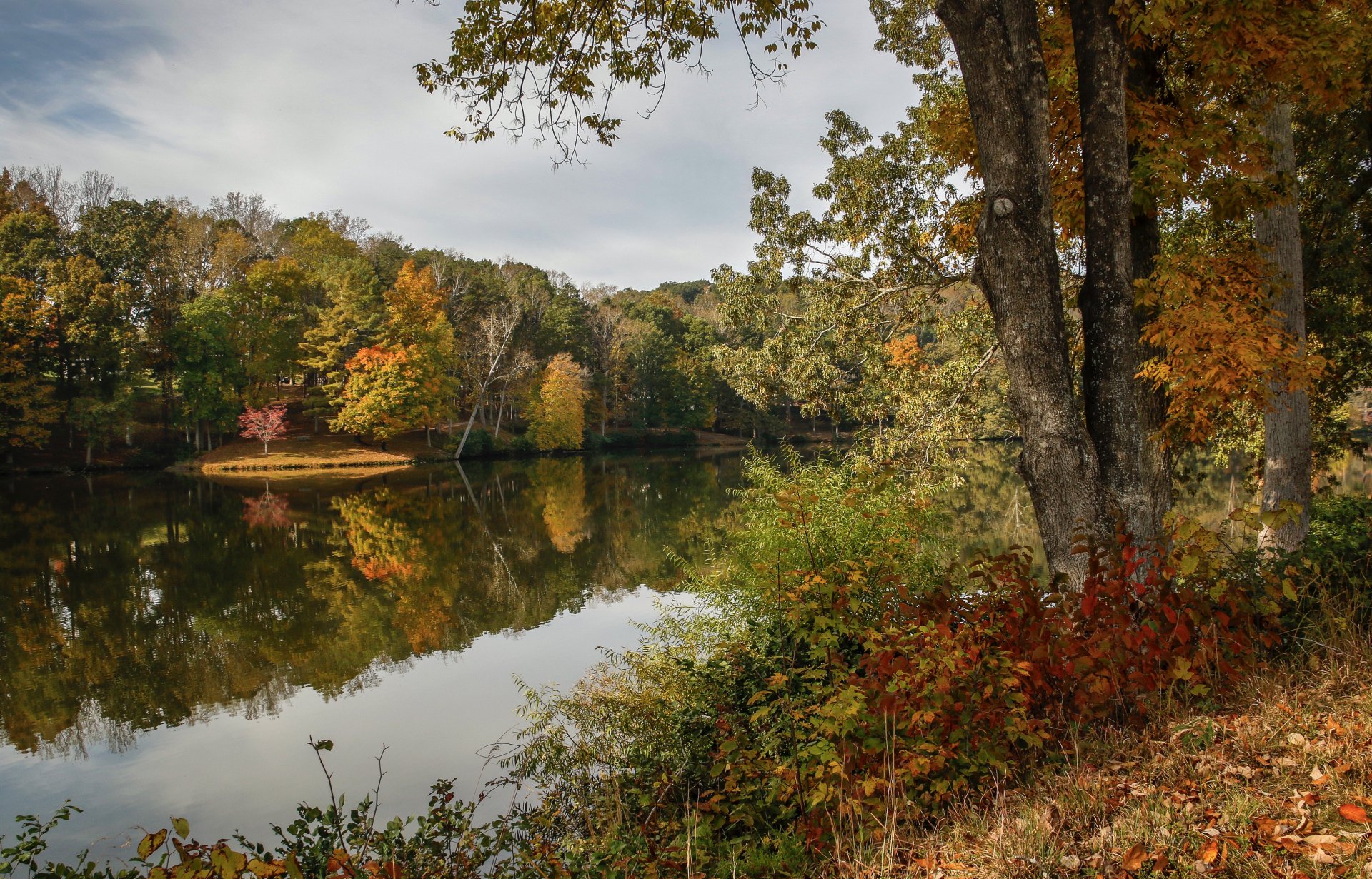 Download Tree Fall Reflection Nature River 4k Ultra HD Wallpaper ...