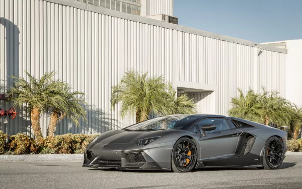 Silver Lamborghini Aventador Zaragoza Edizione supercar parked by a white industrial building and palm trees, 4K Ultra HD PC desktop wallpaper background.