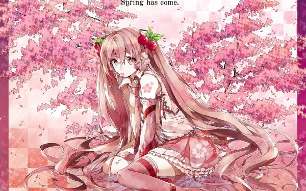 Anime Vocaloid Sakura Miku HD Wallpaper | Background Image