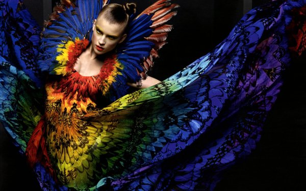 Women Artistic Feather Colorful HD Wallpaper | Background Image