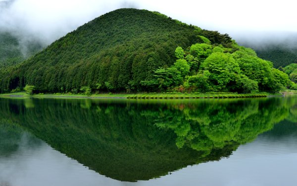 Earth Reflection Nature Fog Forest Hill Greenery HD Wallpaper | Background Image