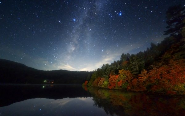 Nature Night Lake Forest Fall Starry Sky Stars HD Wallpaper | Background Image
