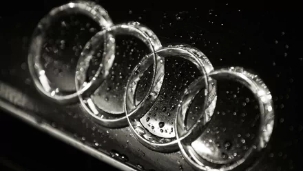 HD desktop wallpaper featuring a close-up of the Audi emblem with water droplets, in monochrome.