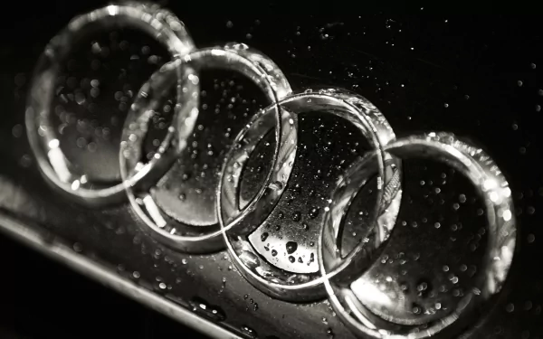 HD desktop wallpaper featuring a close-up of the Audi emblem with water droplets, in monochrome.