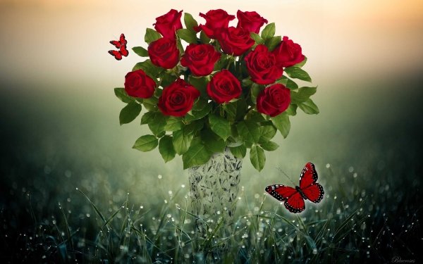 Artistic Rose Vase Butterfly Red Flower Red Rose HD Wallpaper | Background Image