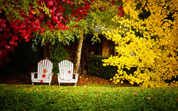 HD desktop wallpaper showing two white man-made chairs beneath vibrant fall trees with red, green, and yellow leaves in a peaceful outdoor setting.