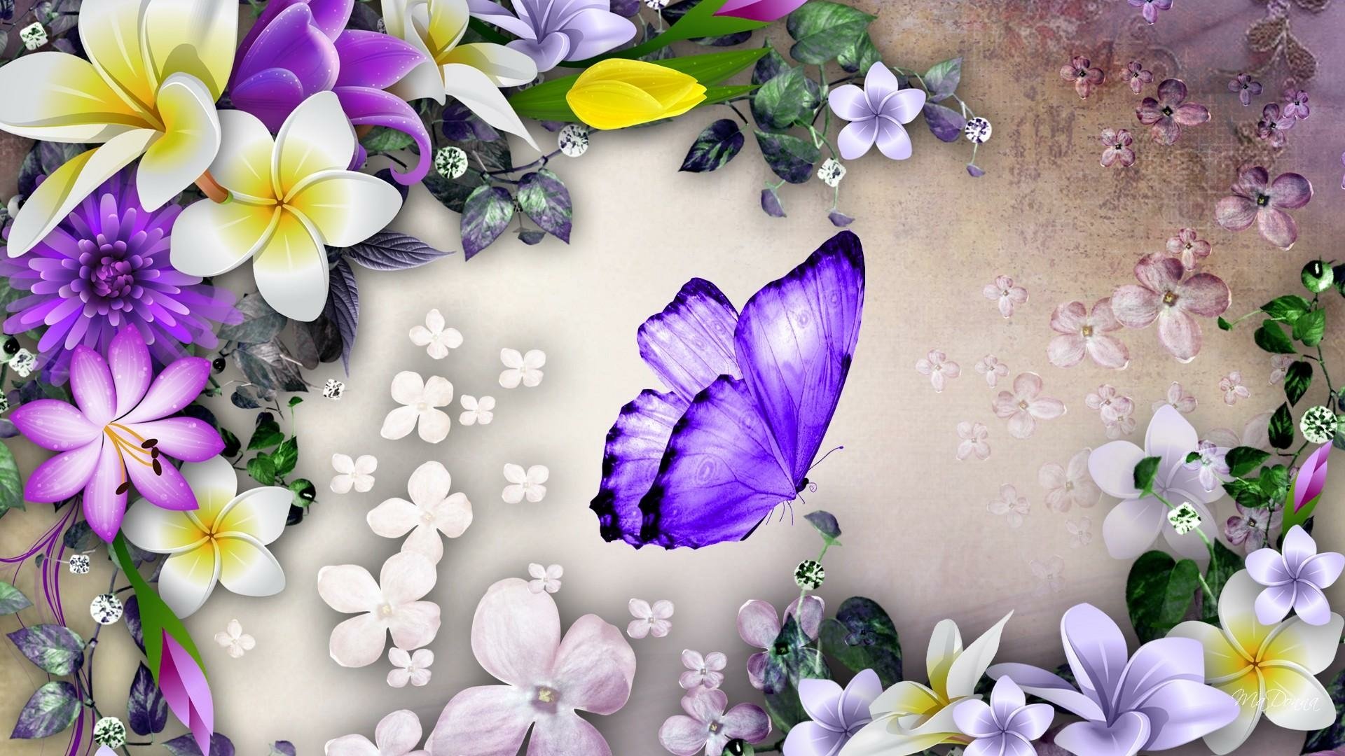 Plumeria and Butterfly HD Wallpaper | Background Image ...