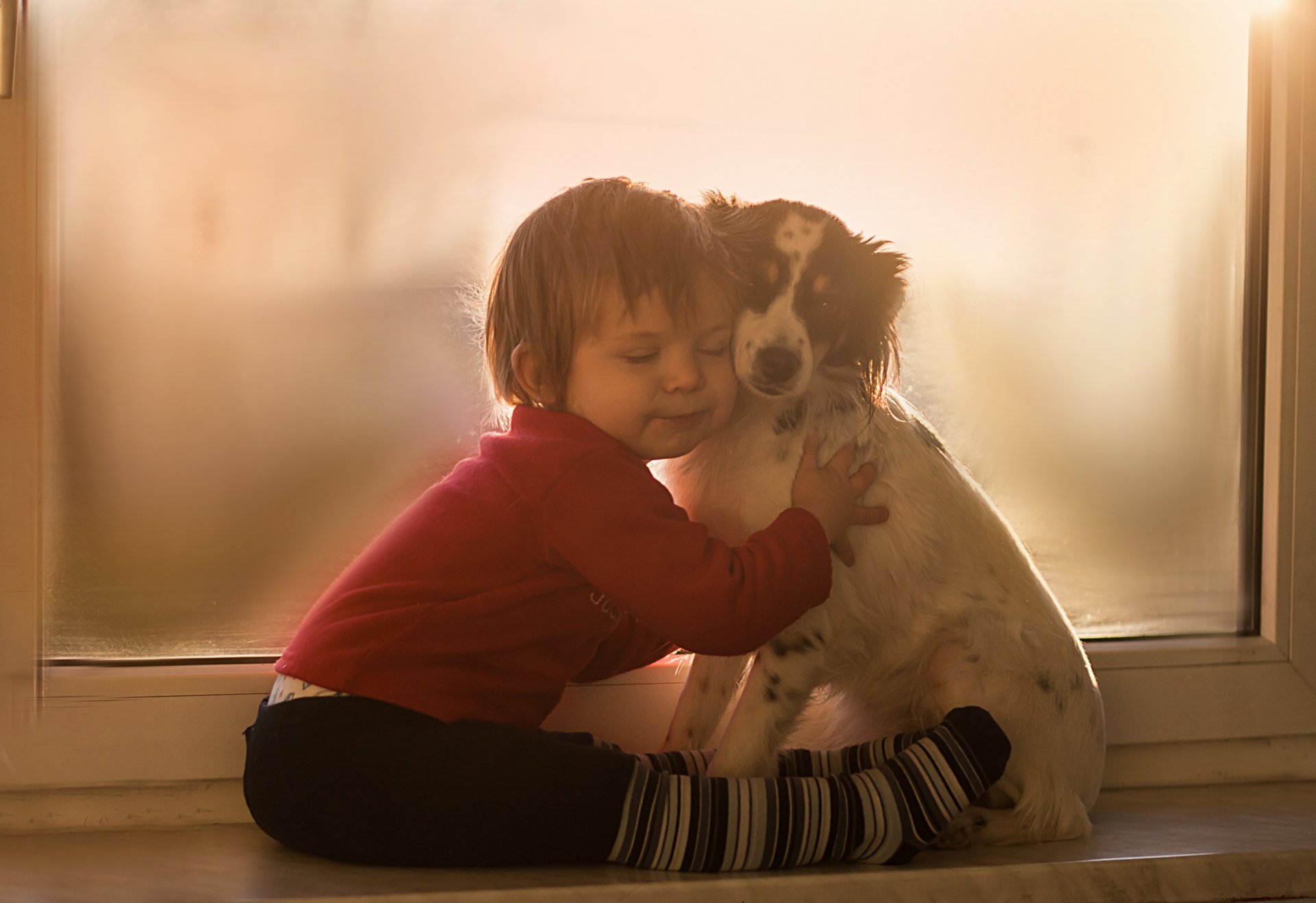 2K Quad HD PC wallpaper: a little boy hugs a dog at a sunlit window — photography capturing a tender child-and-pet moment.