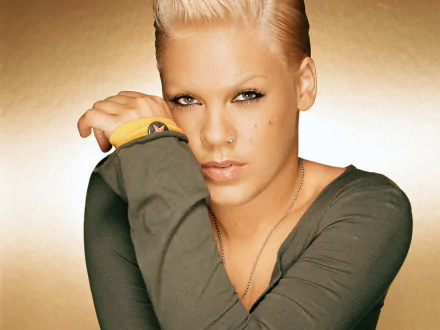 jazz pop rock pop music Pink (Singer) music HD Desktop Wallpaper | Background Image