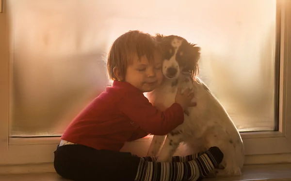 2K Quad HD PC wallpaper: a little boy hugs a dog at a sunlit window — photography capturing a tender child-and-pet moment.