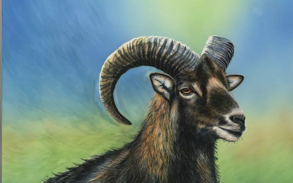  Painting of a Ram