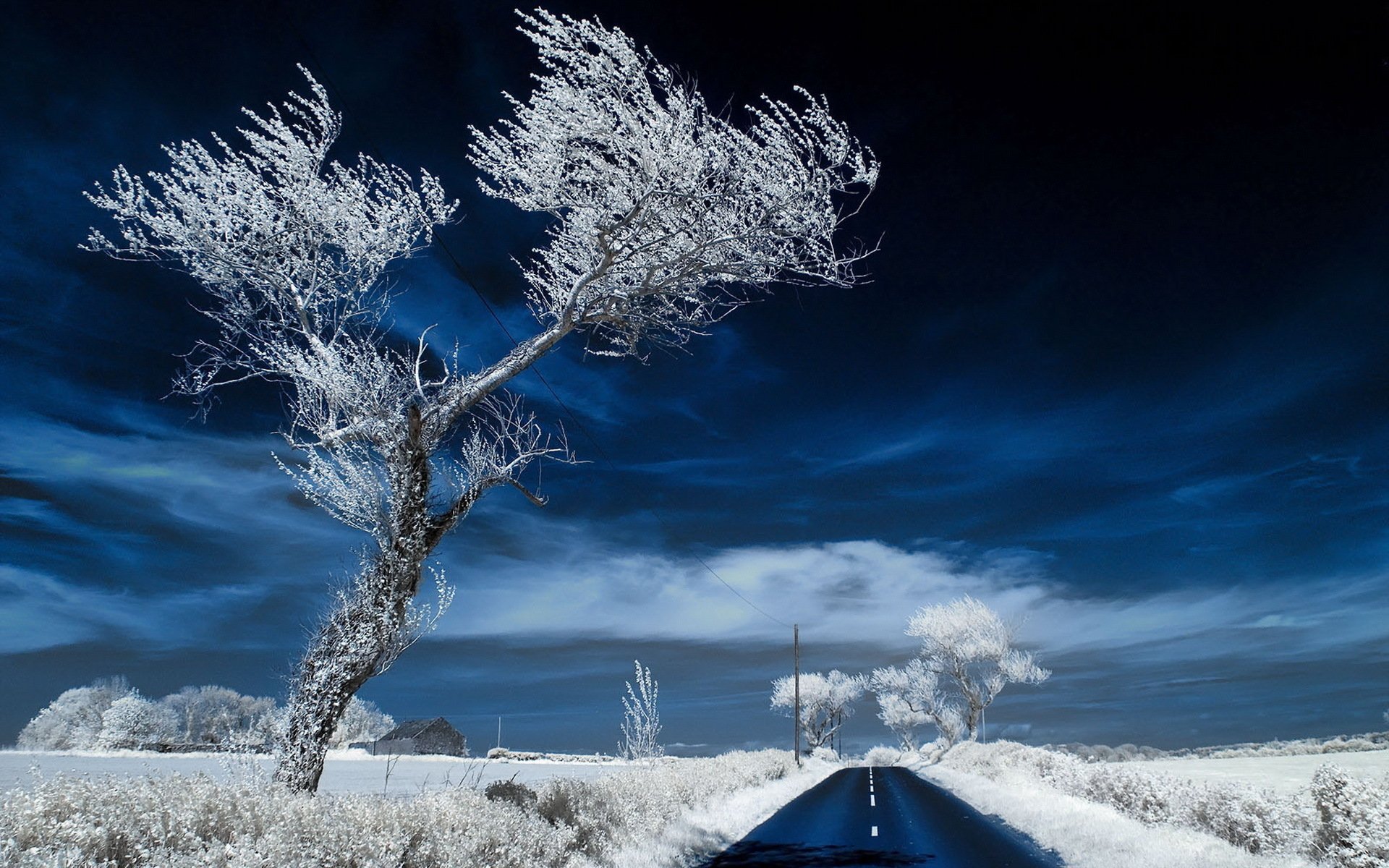 A serene winter scene featuring a snow-covered field, frost-coated trees, and a solitary road under a deep blue sky. HD desktop wallpaper and background.