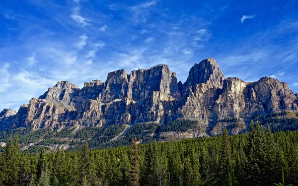 5K Ultra HD PC desktop wallpaper: pine forest at the base of towering mountain cliffs under a bright blue sky — dramatic natural landscape.