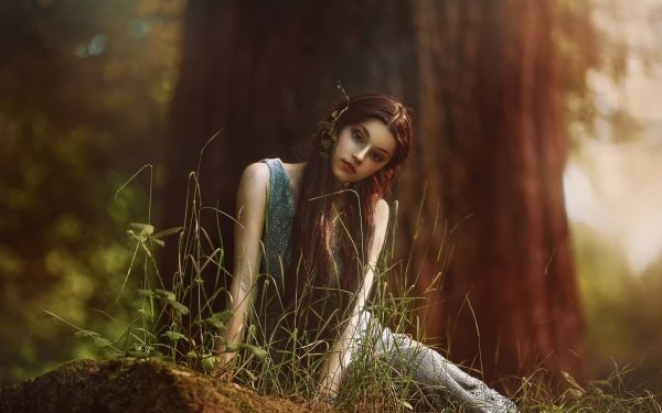 Women Model Brunette Forest HD Wallpaper | Background Image
