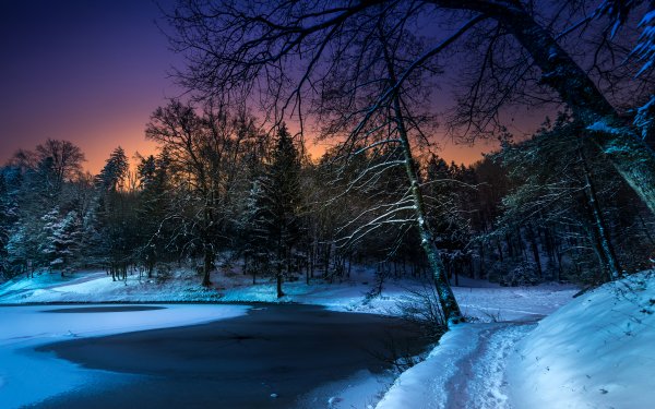Earth Winter Pond Frozen Tree Snow HD Wallpaper | Background Image
