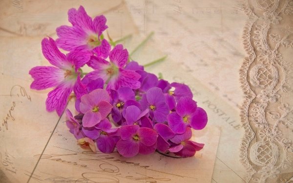 Photography Vintage Flower Letter Pink Flower HD Wallpaper | Background Image