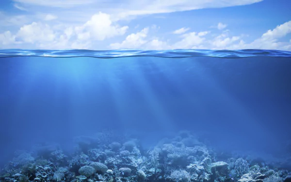 4K Ultra HD underwater ocean scene showcasing a vibrant coral reef beneath sunlit sea waters, capturing the beauty of marine life and natural aquatic habitat.