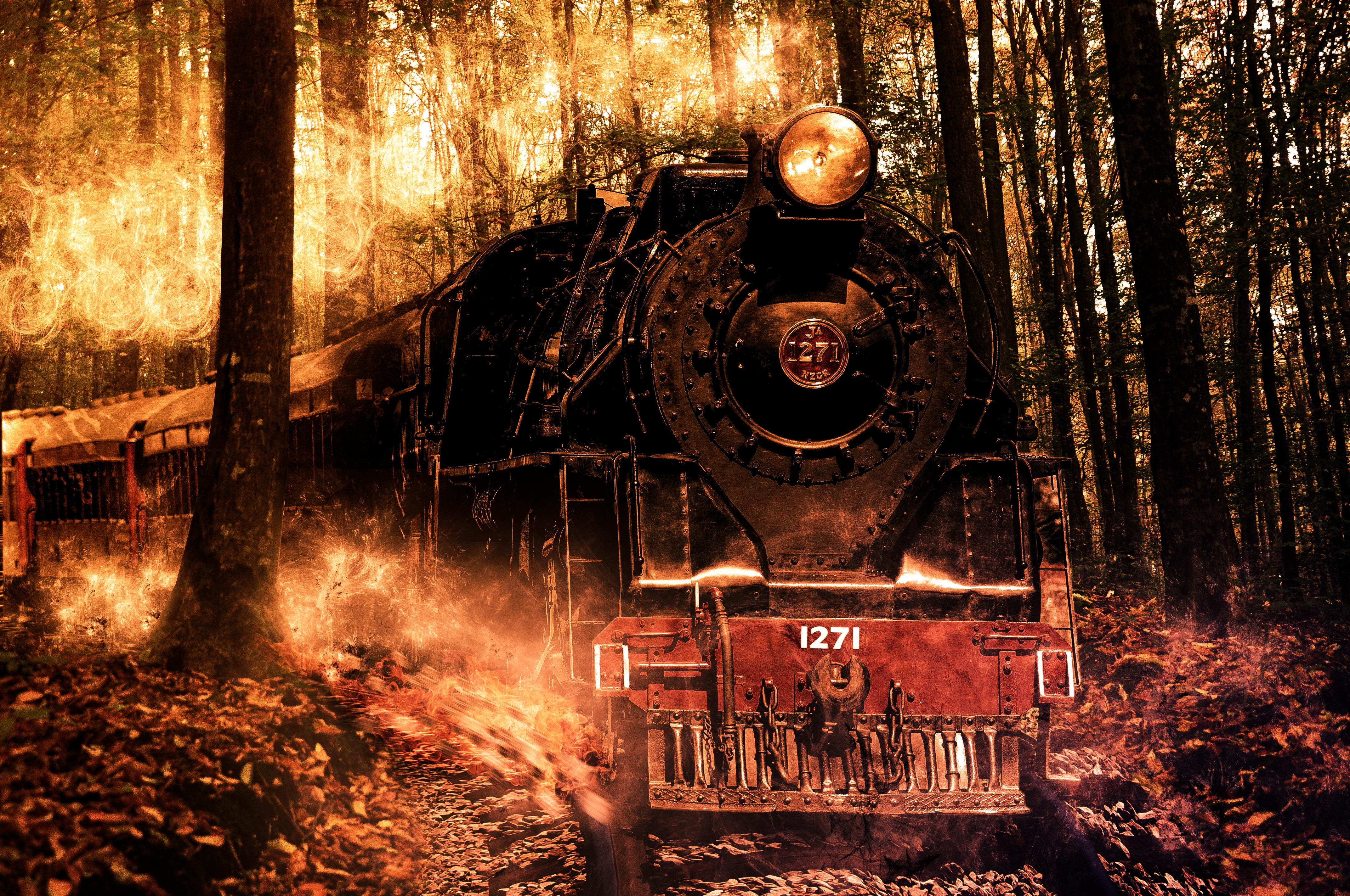 Загадочный поезд. Поезд-призрак Локомотив. Поезд-призрак «Санетти». «Санетти»: загадочный поезд-призрак.. Паровоз в лесу.