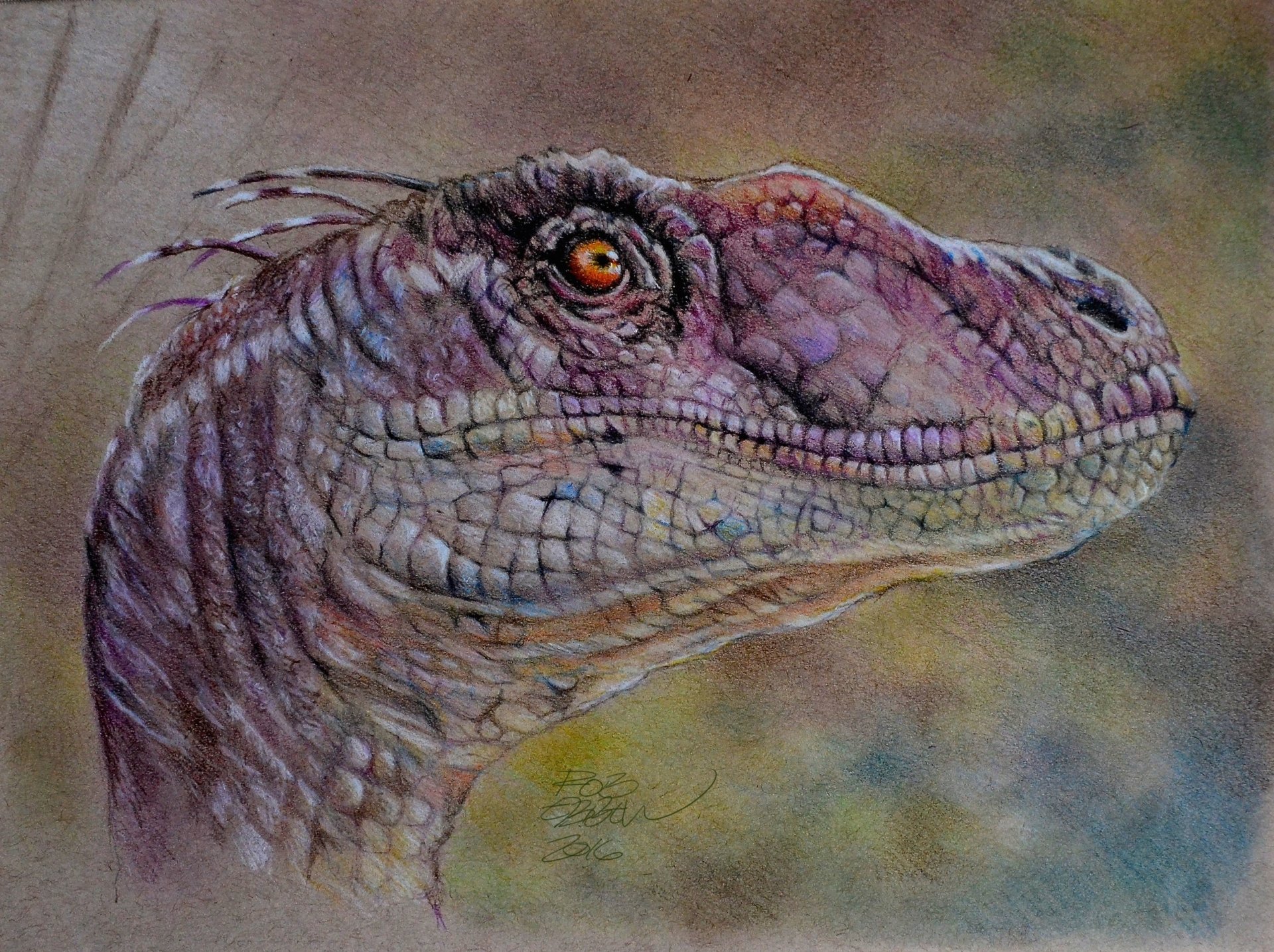 Velociraptor HD Wallpaper by MrEyeCandy66