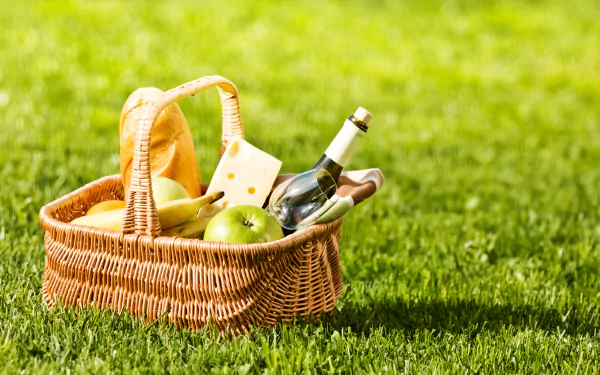 grass food basket photography picnic HD Desktop Wallpaper | Background Image