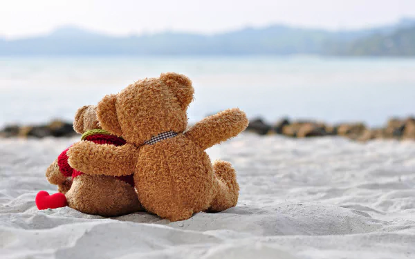 Two teddy bears sit close together on sand by the water, symbolizing love in this 8K Ultra HD man-made stuffed animal desktop wallpaper.