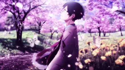 HD wallpaper featuring Kousei Arima from Your Lie in April set against a backdrop of cherry blossoms and butterflies.