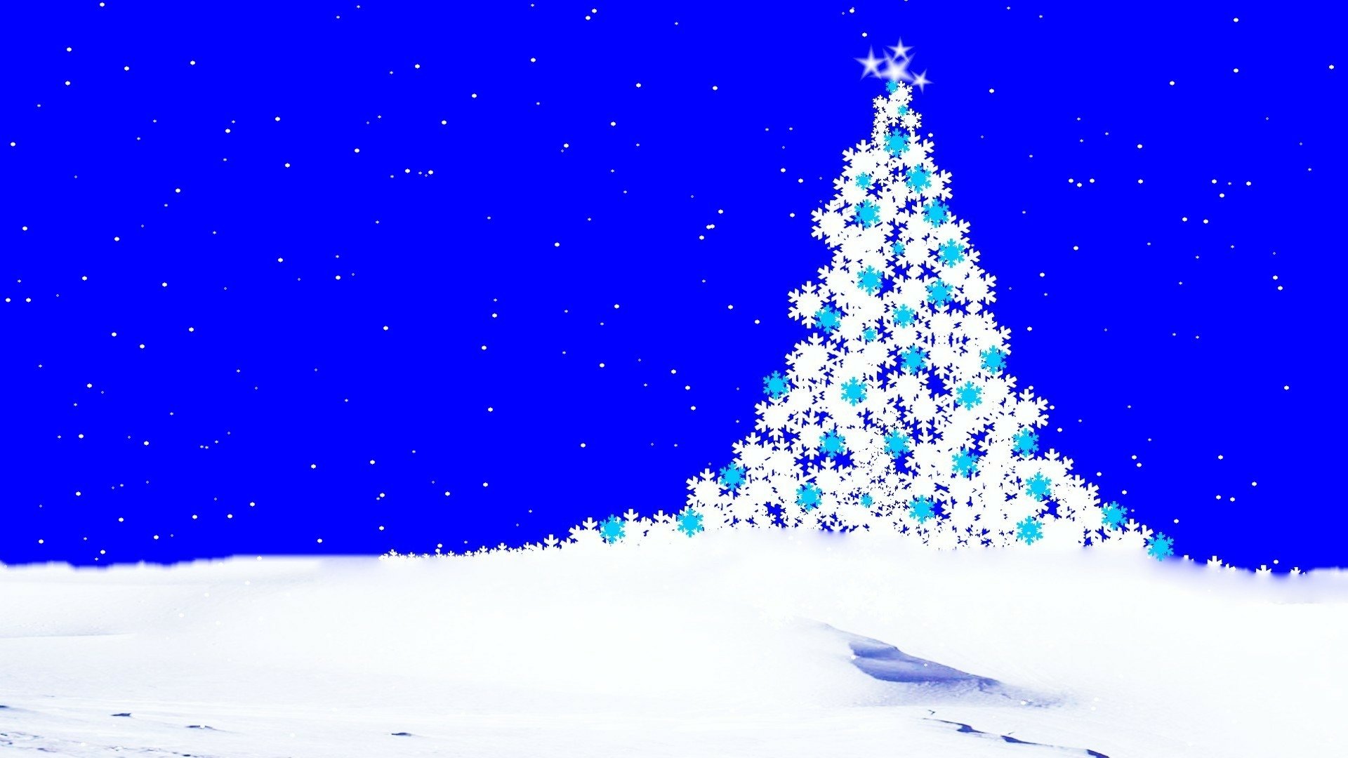 Christmas Tree in the Snow Fondo de pantalla HD Fondo de Escritorio