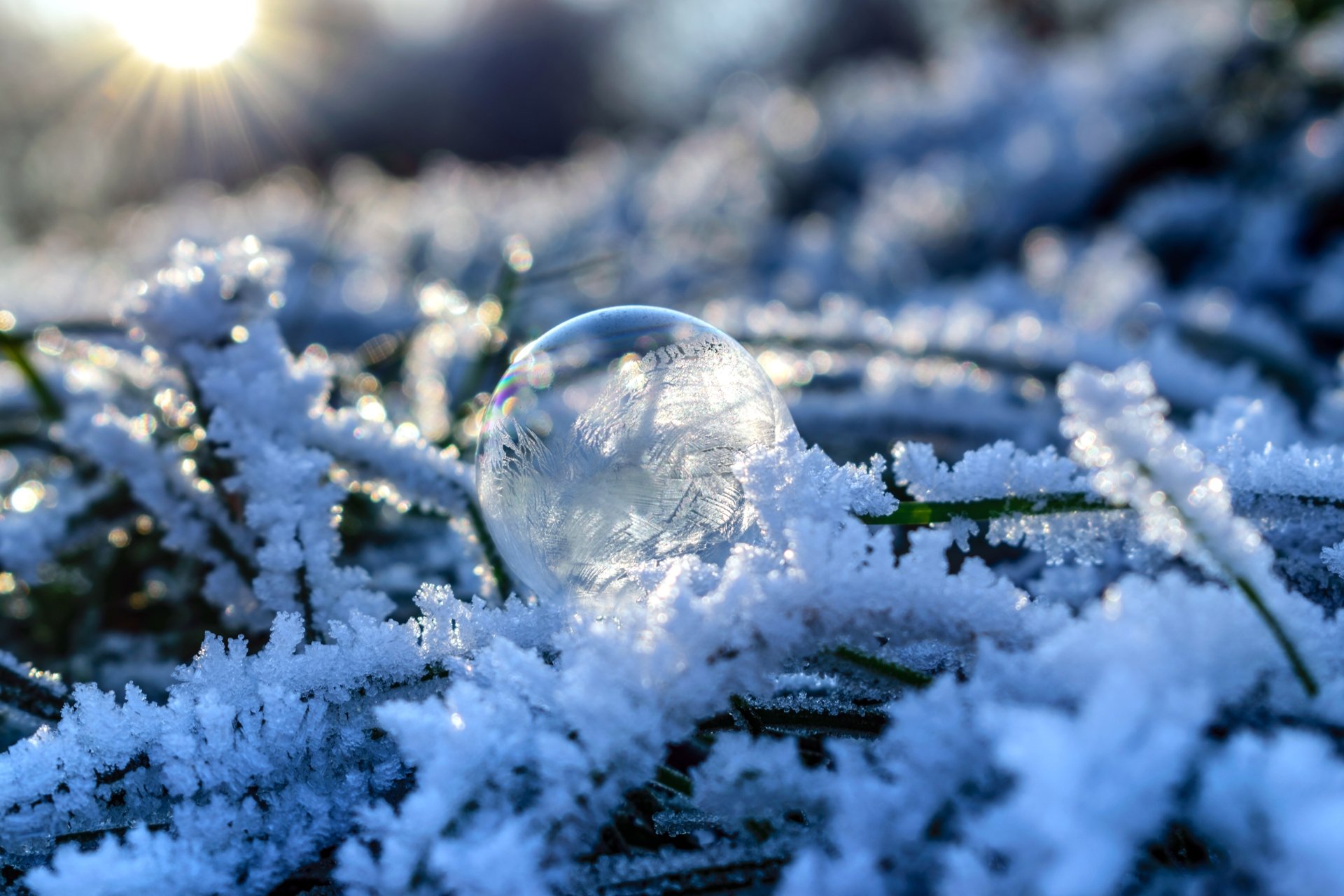 Download Bubble Nature Close-up Snow Winter 4k Ultra HD Wallpaper