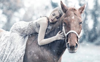 1559 Horse HD Wallpapers | Background Images - Wallpaper Abyss